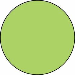 Dylusions Shimmer Paint Island Parrot, 1oz -RANGER ART SUPPLIES IslandParrot 838c4a7c ad6e 4cf5 a689 4bec682b8b3a