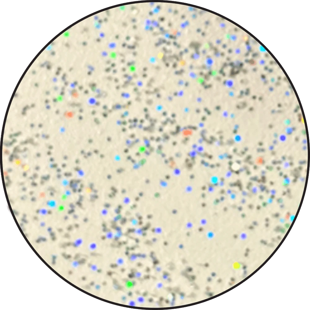 Embossing Powder Snowflake Tinsel, 1oz Jar 4 Embossing Powder Snowflake Tinsel, 1oz Jar - Image 2