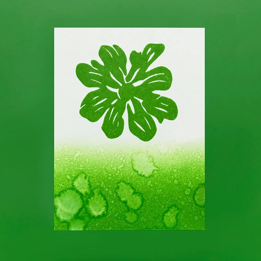 Simon Hurley Create. Stellar Foam Dye Ink Pad, Later Gator 4 Simon Hurley Create. Stellar Foam Dye Ink Pad, Later Gator - Image 2