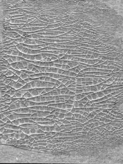 Tim Holtz Distress® Crackle Paste Translucent, 3oz 7 Tim Holtz Distress® Crackle Paste Translucent, 3oz -RANGER ART SUPPLIES TDA79651 DistressCracklePaste Translucent Sec 16b18671 8fca 493f 8f16 17dd36e760af