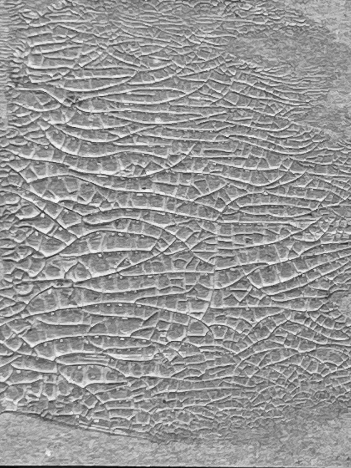 Tim Holtz Distress® Crackle Paste Translucent, 3oz 5 Tim Holtz Distress® Crackle Paste Translucent, 3oz - Image 3