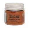 Tim Holtz Distress® Embossing Glaze Rusty Hinge 1 Tim Holtz Distress® Embossing Glaze Rusty Hinge -RANGER ART SUPPLIES TDE71013 EmbossingGlaze RustyHinge