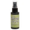 Tim Holtz Distress® Spray Stain Peeled Paint, 2oz -RANGER ART SUPPLIES TSS42389 Peeled Paint