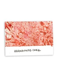 Tim Holtz Distress® Spray Stain Abandoned Coral, 2oz 6 Tim Holtz Distress® Spray Stain Abandoned Coral, 2oz -RANGER ART SUPPLIES TSS44079 AbandonedCoral 2f204c9a 4cf5 4ad8 88a7 8e17119c951b